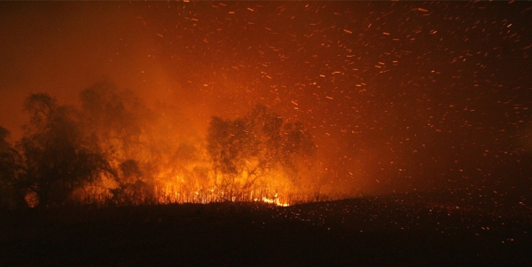 California wildfires26.jpg