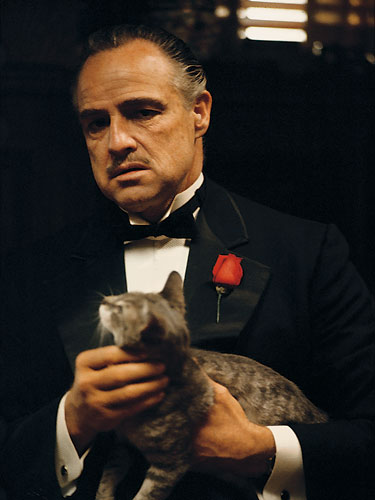 godfather_family_album_marlon_brando_with_cat.jpg