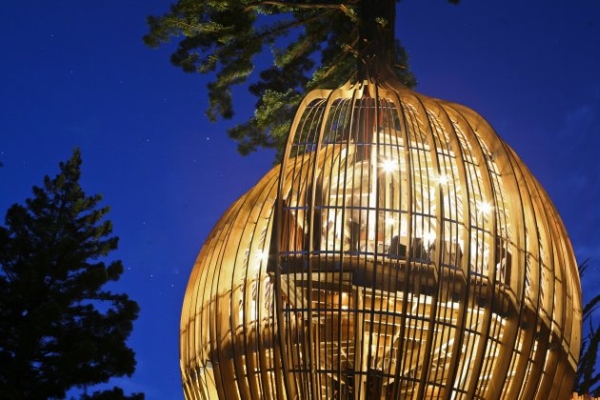 Yellow Treehouse Restaurant11.jpg