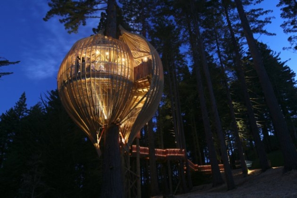 Yellow Treehouse Restaurant8.jpg