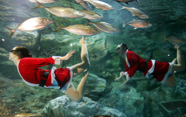 santa_claus_seoul_aquarium02.jpg