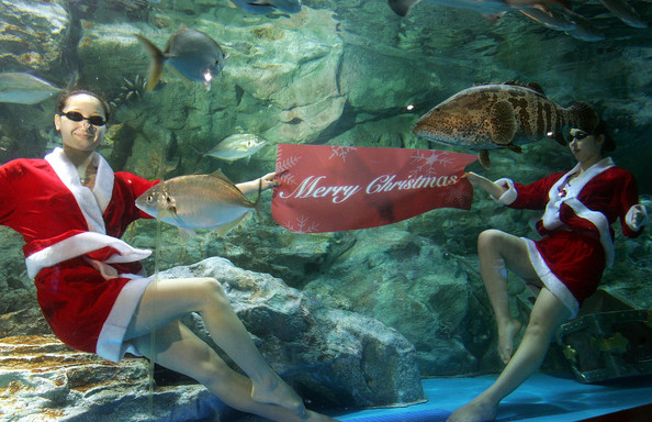 santa_claus_seoul_aquarium03.jpg