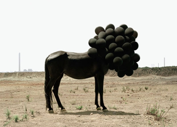 Итальянский фотограф Андреа Гальвани Andrea Galvani