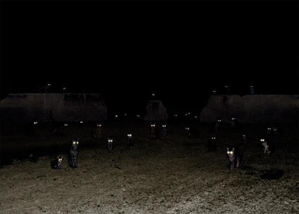 Андреа Гальвани Andrea Galvani