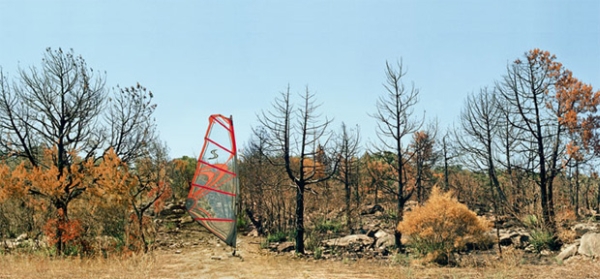 Андреа Гальвани Andrea Galvani