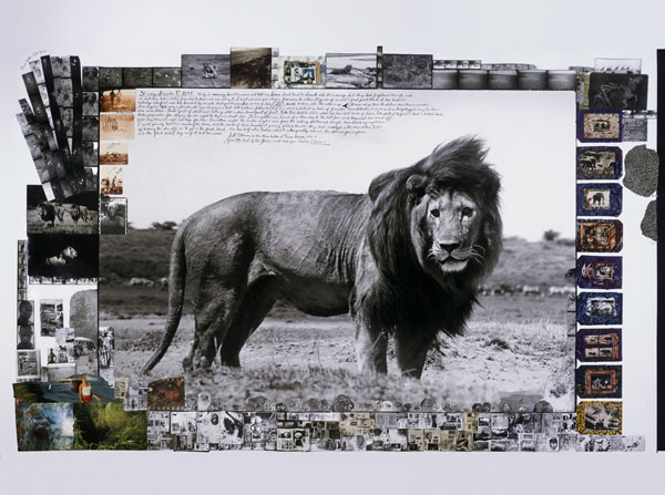  Питер Берд (Peter Beard)