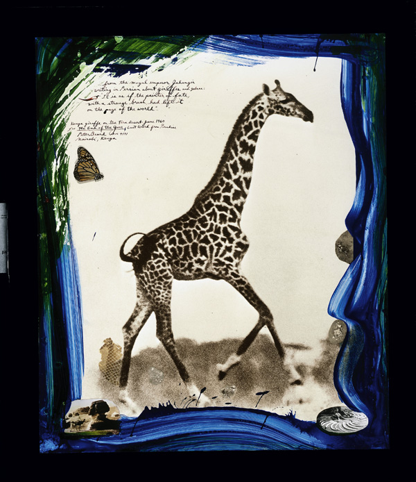  Питер Берд (Peter Beard)