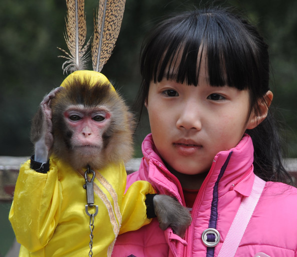 chinese_new_year_girl_monkey_shunan_bamboo_sea_yibin_sichuan_province.jpg