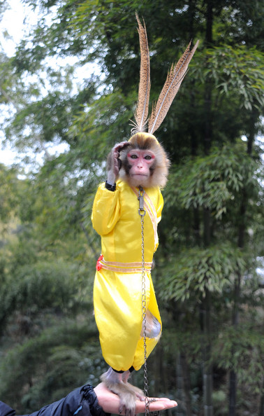 chinese_new_year_girl_monkey_shunan_bamboo_sea_yibin_sichuan_province2.jpg