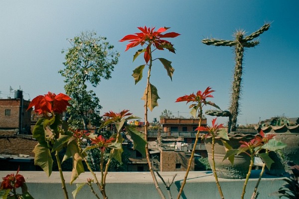 nepal_bhaktapur_roofs_50_IMG_9960.jpg