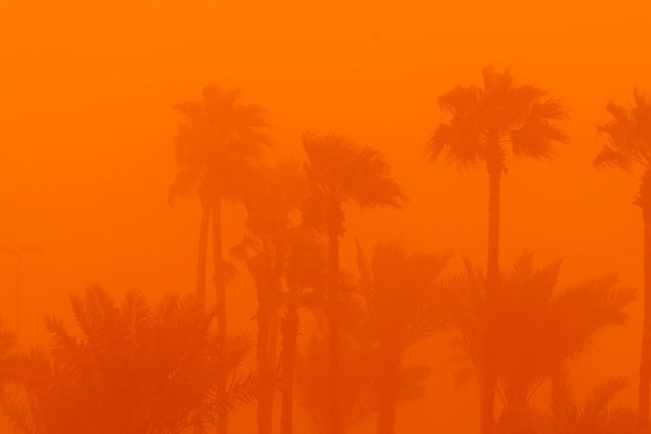 sandstorm_saudi_arabia07.jpg