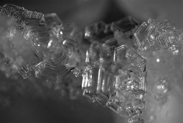 Снежные кристаллы поверхностной изморози