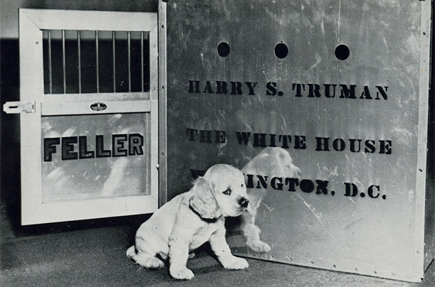 harry_s_truman_feller_cocker_spaniel.jpg