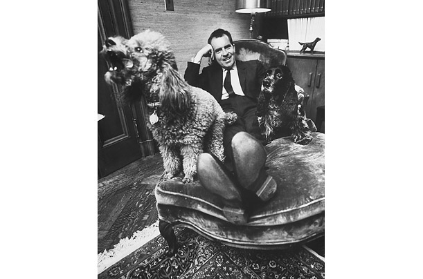 richard_nixon_checkers_cocker_spaniel_vicky_poodle.jpg