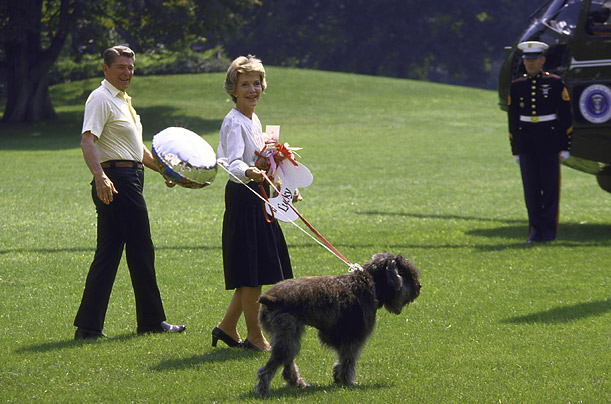 ronald_reagan_lucky_bouvier_des_flandres.jpg