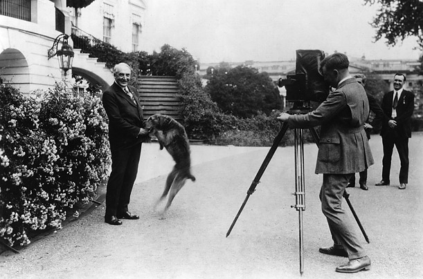 warren_g_harding_laddie_boy_airedale_terrier.jpg