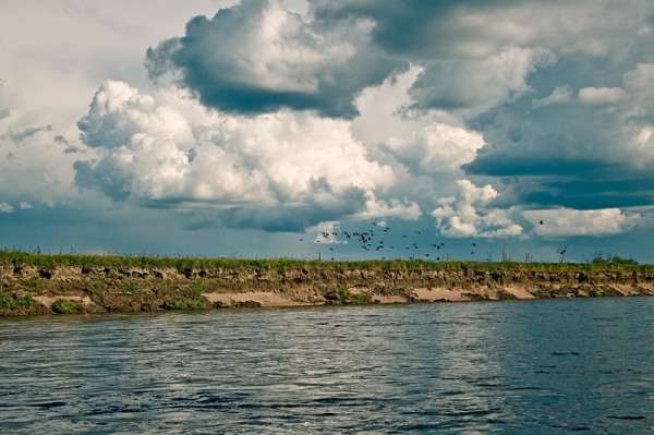 ru_dep_stormy_birds.jpg