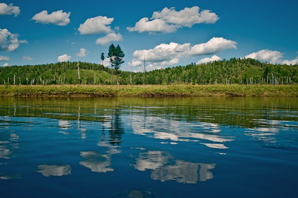 ru_dep_tree_and_a_hill.jpg