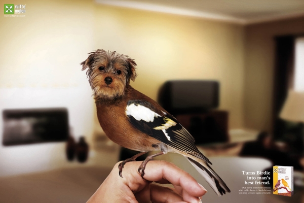 Реклама птичьего корма Witte Molen, который делает птиц лучшими друзьями человека