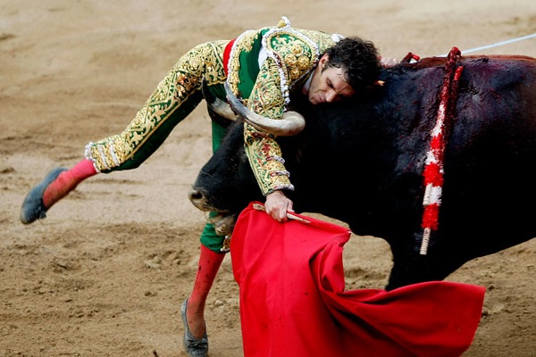 bull_fighting_barcelona03.jpg