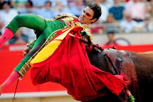 bull_fighting_barcelona04.jpg
