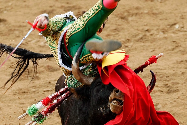 bull_fighting_barcelona05.jpg