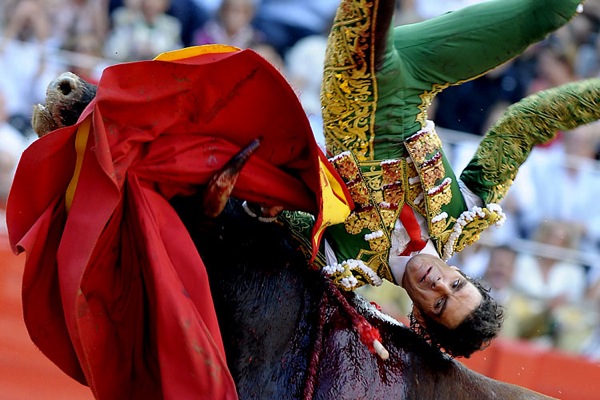 bull_fighting_barcelona06.jpg