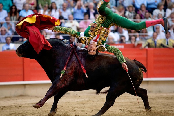 bull_fighting_barcelona07.jpg