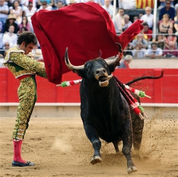bull_fighting_barcelona10.jpg