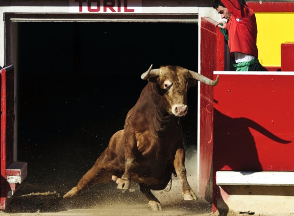 pamplona_bulls05.jpg