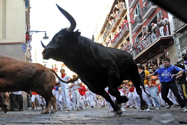 pamplona_bulls08.jpg