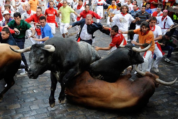 pamplona_bulls12.jpg