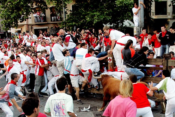 Bulls at San Fermin Festival in Pamplona, Spain