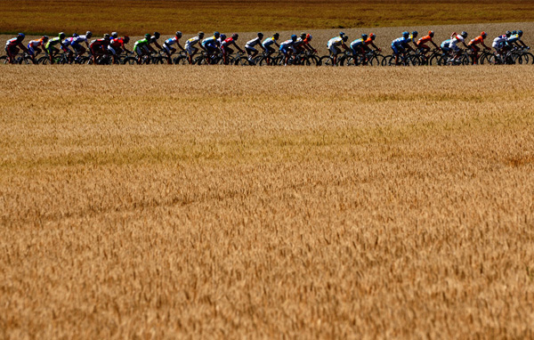 tdf19.jpg