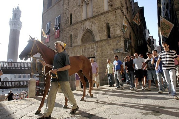 palio_siena02.jpg