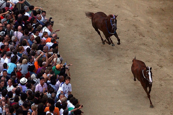 palio_siena05.jpg