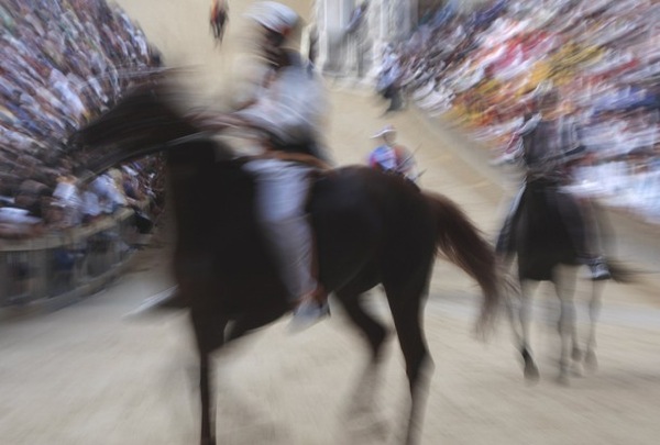 palio_siena14.jpg