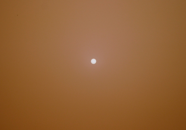 s026.jpg