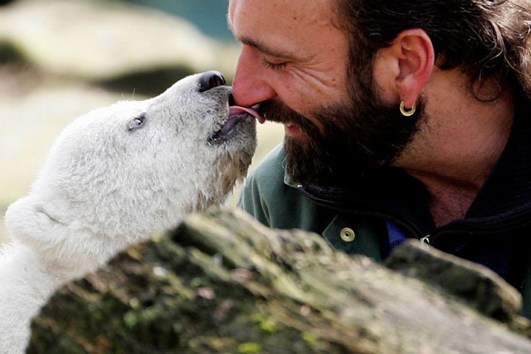 Knut_young.jpg