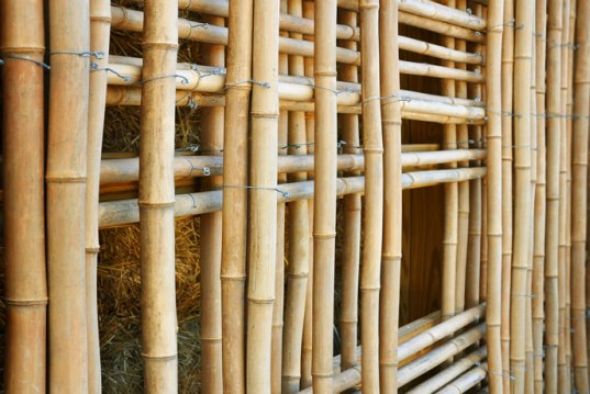 Mason-Lane-Bamboo-Barn-5.jpg