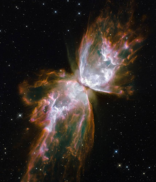 Планетарная туманность NGC 6302, которую также называют Туманностью Бабочки