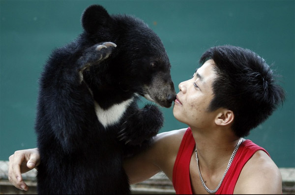 animals06.JPG