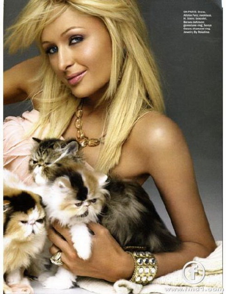 000000169397-paris_hilton-fullsize_.jpg