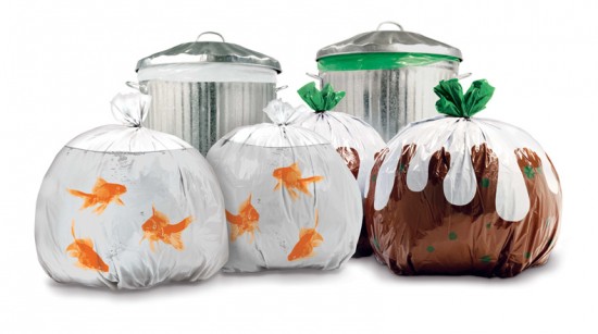 bin4-550x307.jpg