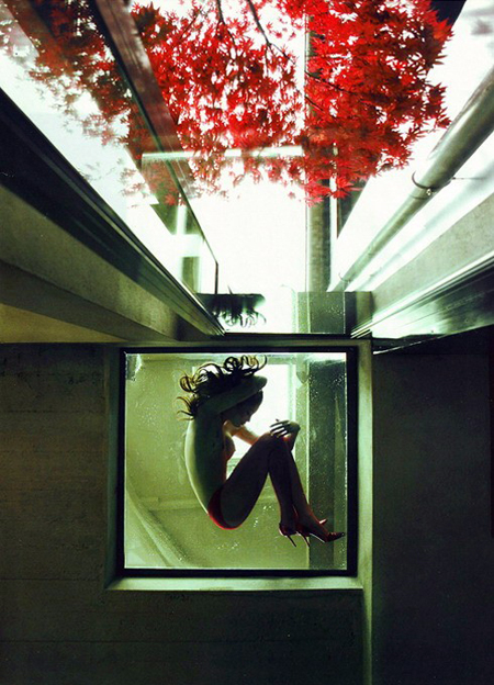 DavidBellemere08.jpg