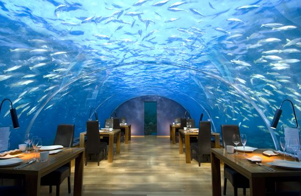 Подводный ресторан Ithaa на Мальдивах