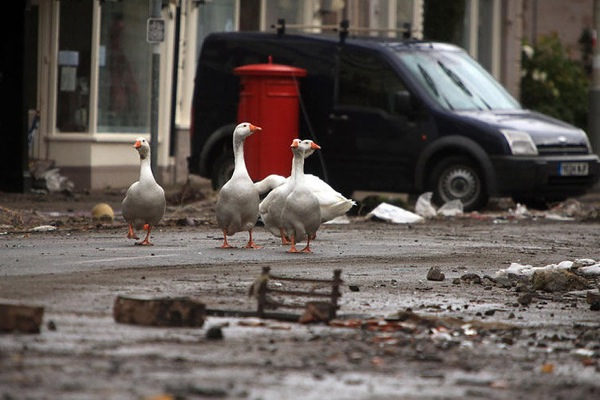 northwest_england_floods13.jpg