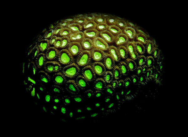 national_geographic_contest-01-944x579_.jpg