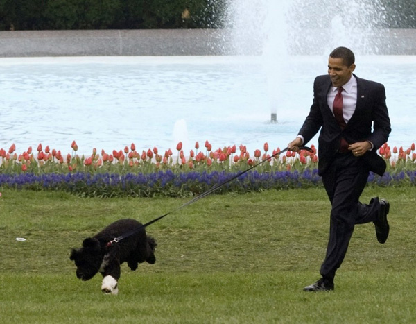 Президент США Барак Обама и его собака по кличке Бо