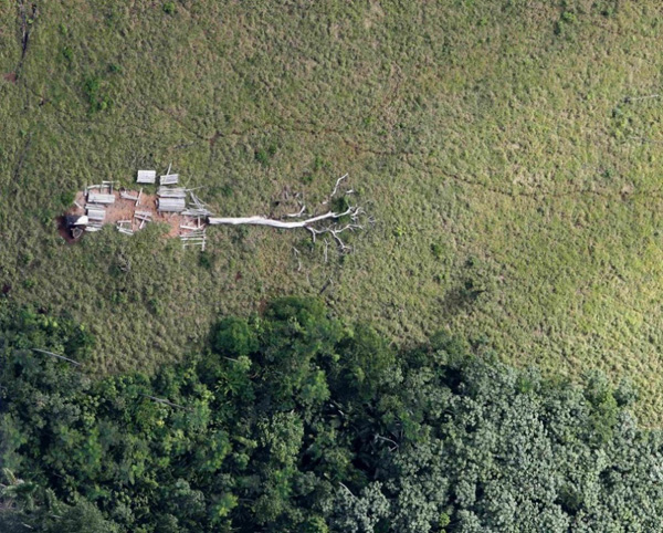 Вырубленные амазонские джунгли рядом в бразильском штате Пара